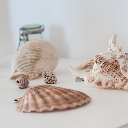 Helloapulia - Sea View Terrace Conchiglia Apartment โมโนโปลี ภายนอก รูปภาพ
