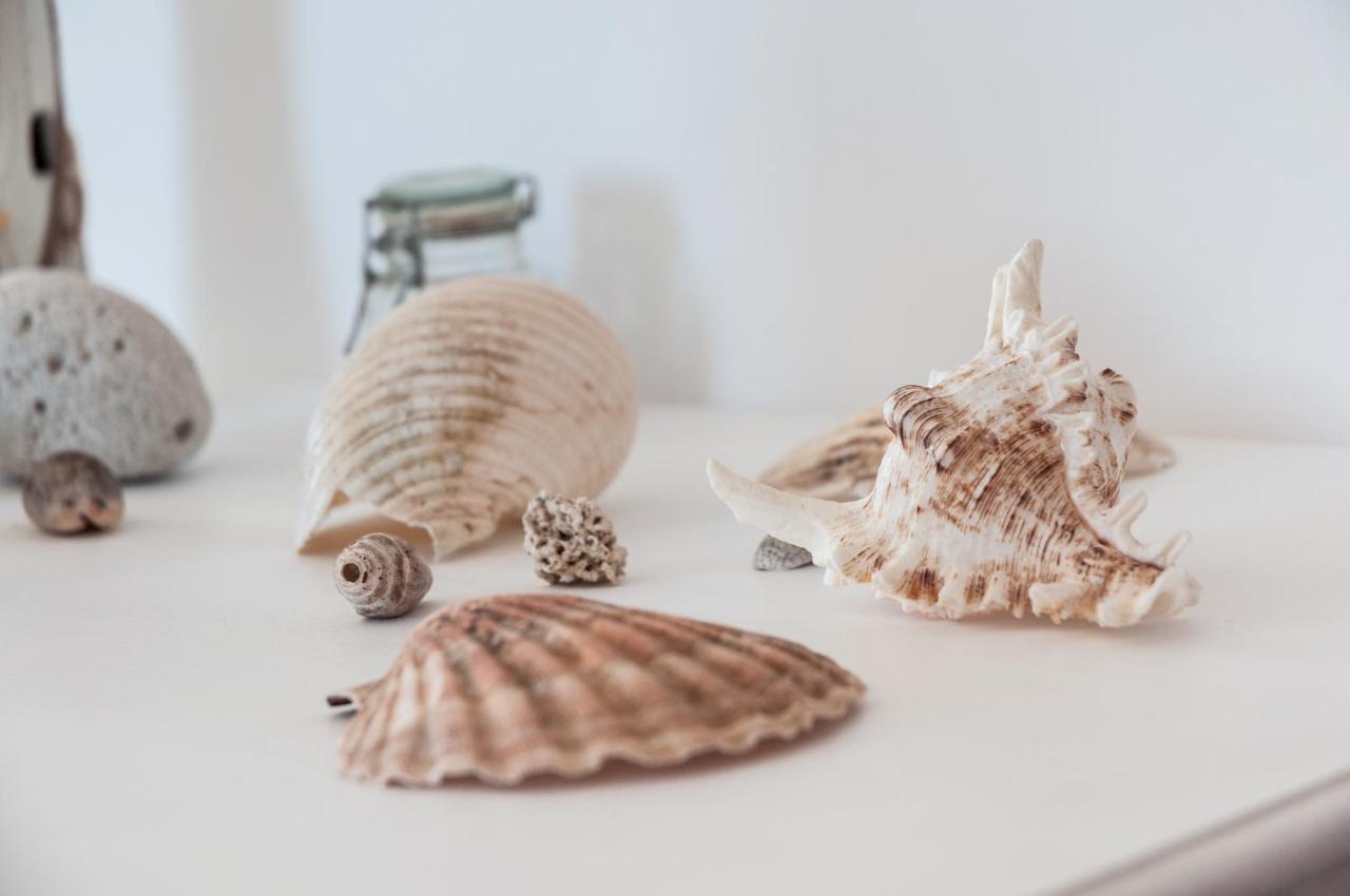 Helloapulia - Sea View Terrace Conchiglia Apartment โมโนโปลี ภายนอก รูปภาพ